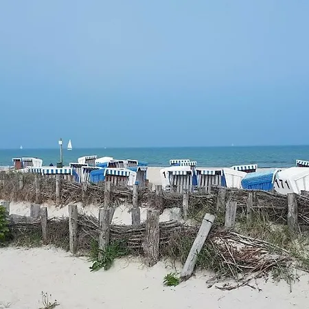 Ostseepirat * Damp